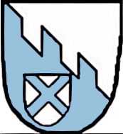Wildenberg Fahne / Flagge