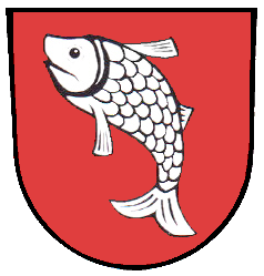 Riedhausen Fahne / Flagge