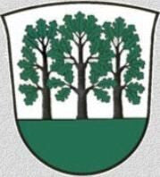 Echem Fahne / Flagge