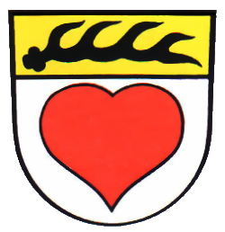 Schlaitdorf Fahne / Flagge