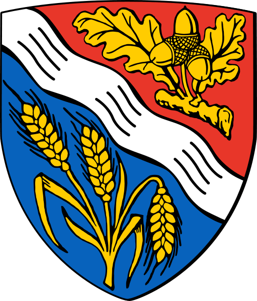 Ringgau Fahne / Flagge