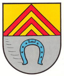 Lemberg Fahne / Flagge