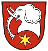Deggingen Fahne / Flagge