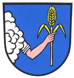 Sulzfeld Fahne / Flagge