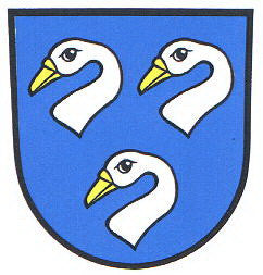 Zwingenberg Fahne / Flagge
