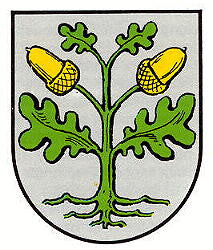 Winnweiler Fahne / Flagge