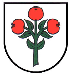 Schwarzach Fahne / Flagge