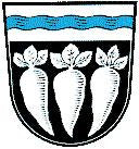 Pfatter Fahne / Flagge