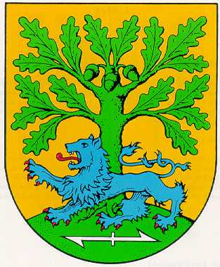 Wedemark Fahne / Flagge