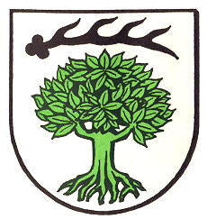 Ilsfeld Fahne / Flagge