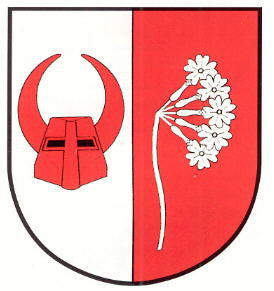 Rantzau Fahne / Flagge