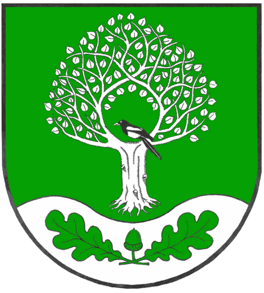 Süderheistedt Fahne / Flagge