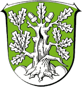 Reinhardshagen Fahne / Flagge