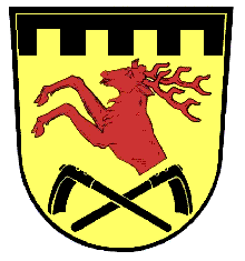 Neusorg Fahne / Flagge