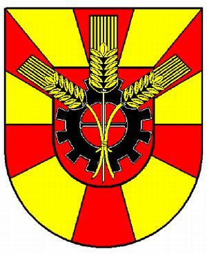 Schellerten Fahne / Flagge