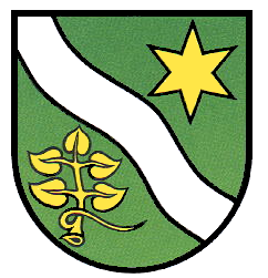 Waldachtal Fahne / Flagge