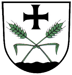 Fleischwangen Fahne / Flagge