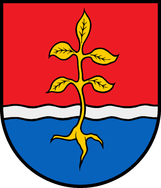 Schmalensee Fahne / Flagge