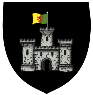 Carlow Fahne / Flagge