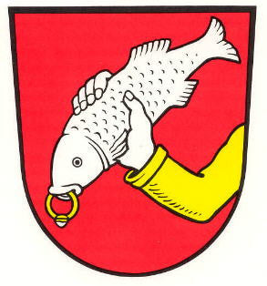 Schonstett Fahne / Flagge