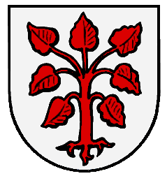 Rottenbuch Fahne / Flagge