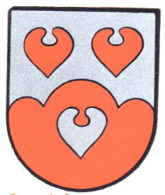 Lienen Fahne / Flagge