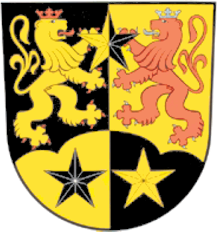 Desloch Fahne / Flagge