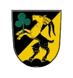 Riekofen Fahne / Flagge