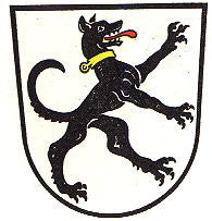 Rieden Fahne / Flagge