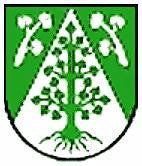 Teutschenthal Fahne / Flagge