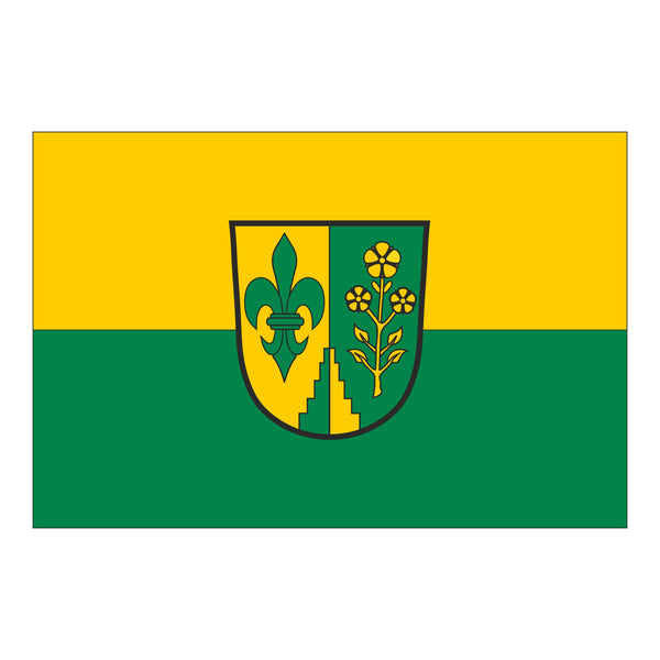 Die Fahne der Gemeinde Binswangen