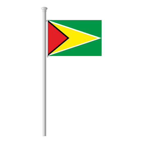 Guyana Flagge Querformat