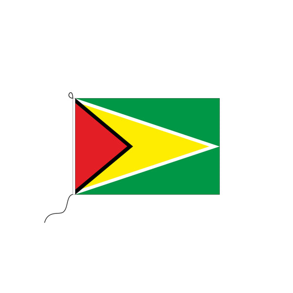 Guyana Kleinfahne