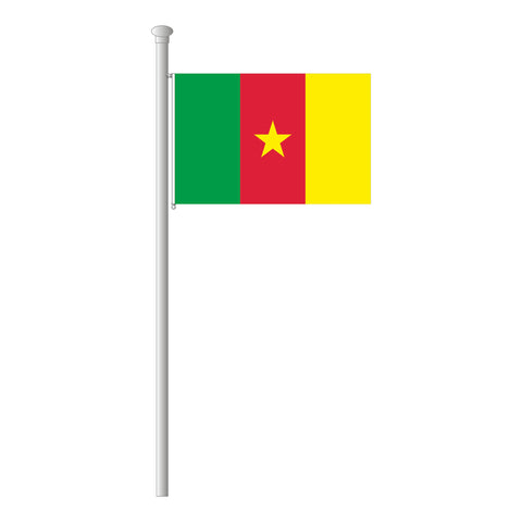 Kamerun Flagge Querformat