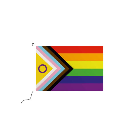 Progress-Pride+Intersex Kleinfahne