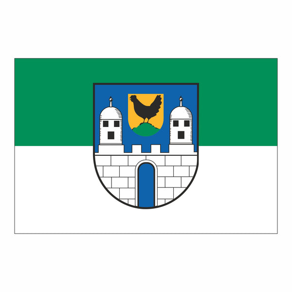 Die Fahne von Wasungen.