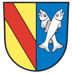 Weisweil Fahne / Flagge