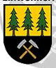 Osterwald Fahne / Flagge
