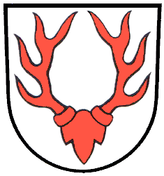 Oberdischingen Fahne / Flagge