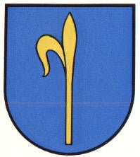 Illingen Fahne / Flagge