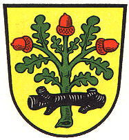 Langen Fahne / Flagge