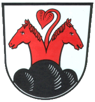 Kienberg Fahne / Flagge