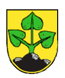 Lindberg Fahne / Flagge