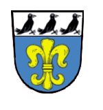 Wiesent Fahne / Flagge