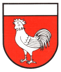 Renquishausen Fahne / Flagge