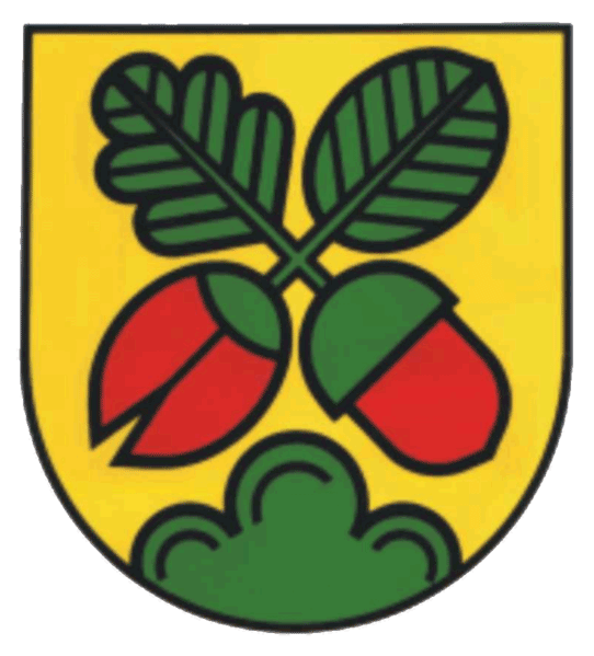 Lichtenwald Fahne / Flagge