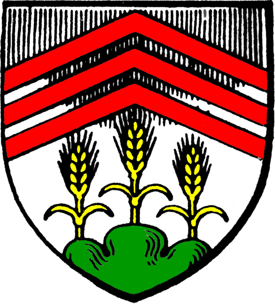 Rockenberg Fahne / Flagge