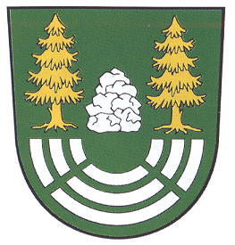 Steinbach Fahne / Flagge