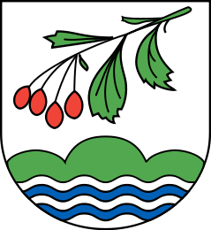 Stipsdorf Fahne / Flagge