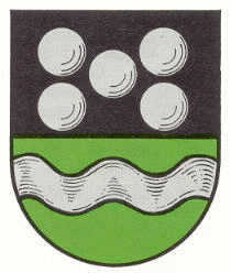 Schallodenbach Fahne / Flagge
